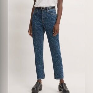 Everlane - The 90’s Cheeky Jean - Dark Painterly Strokes